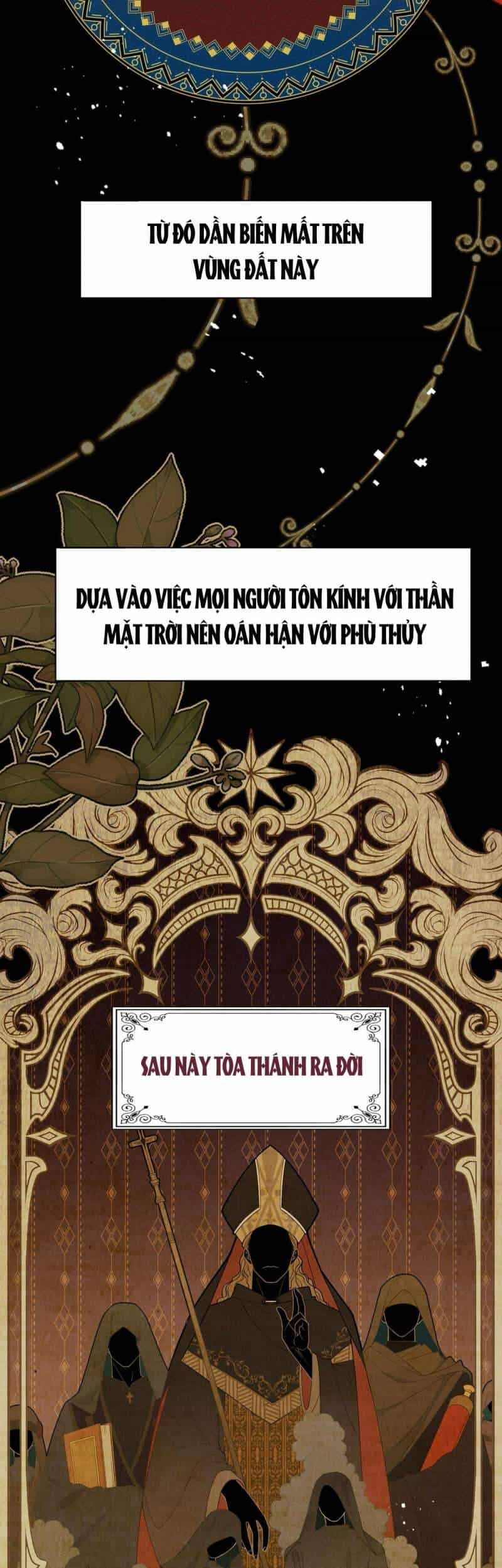 Xuyên Thành Phù Thủy Nuôi Dưỡng Kỵ Sĩ Thánh Điện - Chương 28 - ảnh 9