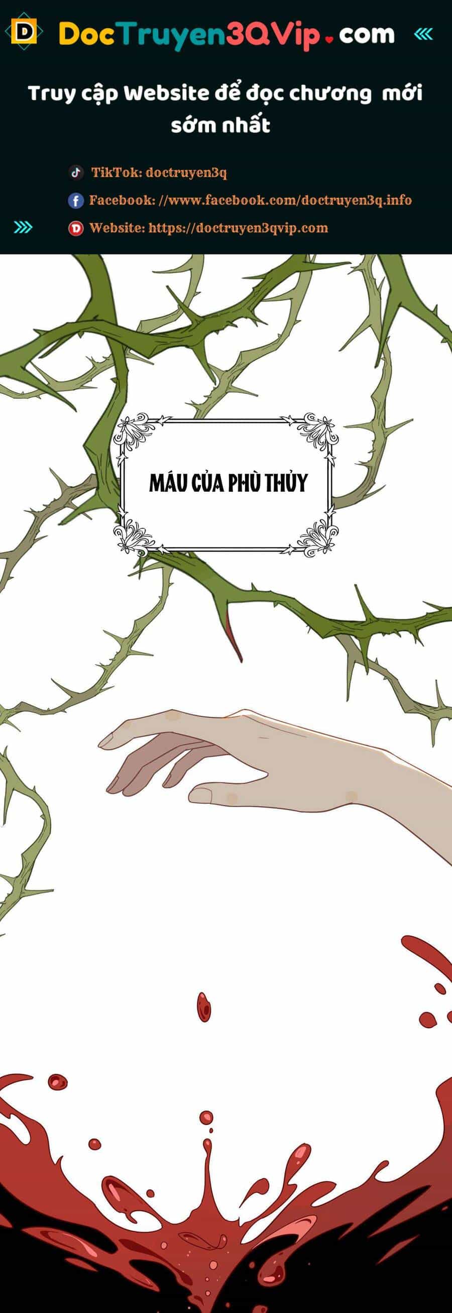 Xuyên Thành Phù Thủy Nuôi Dưỡng Kỵ Sĩ Thánh Điện - Chương 29 - ảnh 2