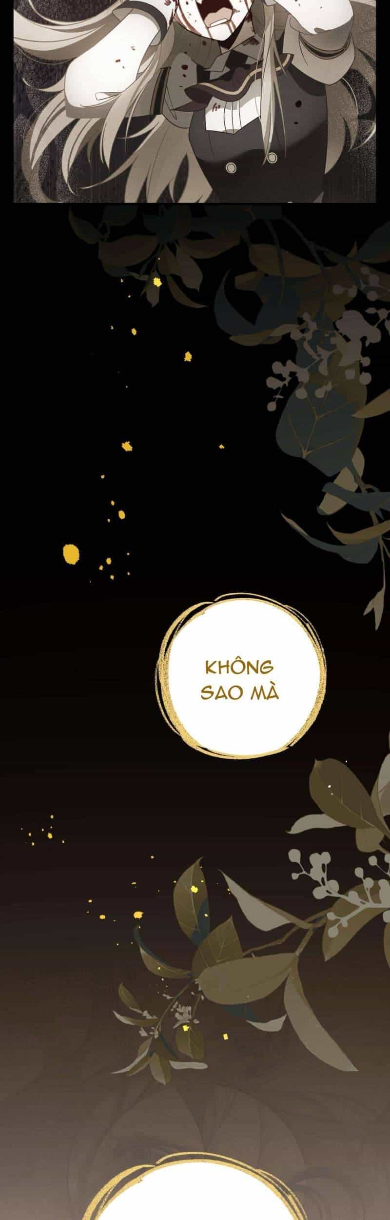Xuyên Thành Phù Thủy Nuôi Dưỡng Kỵ Sĩ Thánh Điện - Chương 35 - ảnh 24