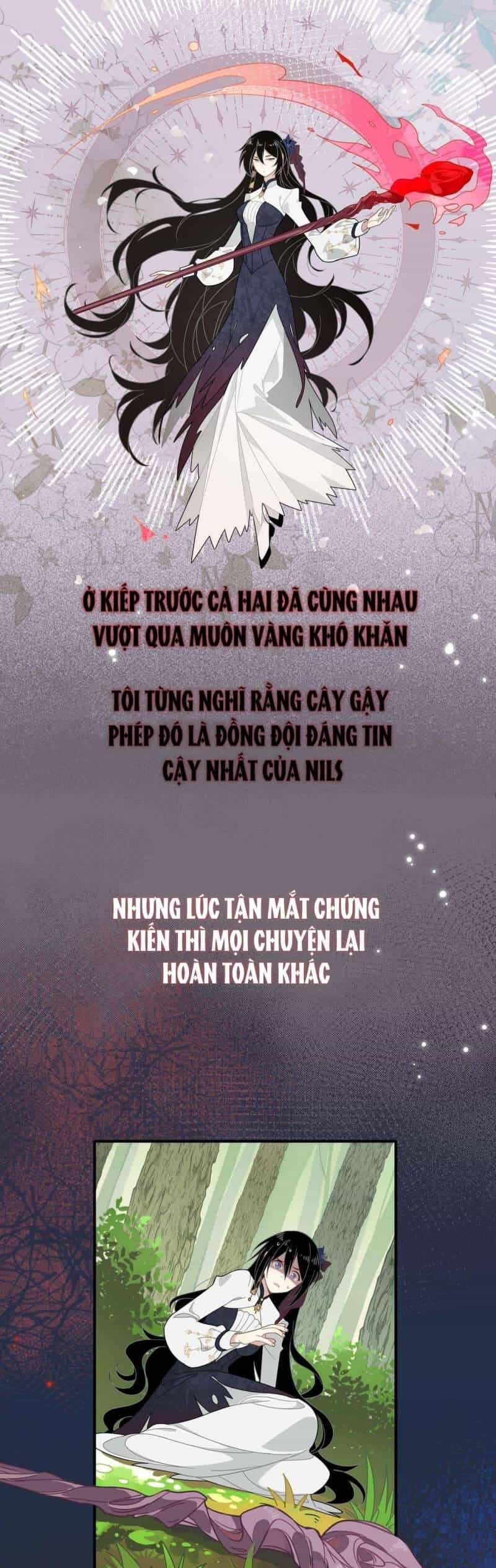Xuyên Thành Phù Thủy Nuôi Dưỡng Kỵ Sĩ Thánh Điện - Chương 5 - ảnh 5