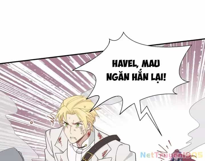Xuyên Thành Phù Thủy Nuôi Dưỡng Kỵ Sĩ Thánh Điện - Chương 79 - ảnh 42