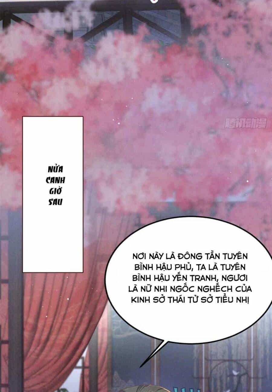 Xuyên Thành Tiểu Vương Phi Ngốc Nghếch - Chương 2 - ảnh 27