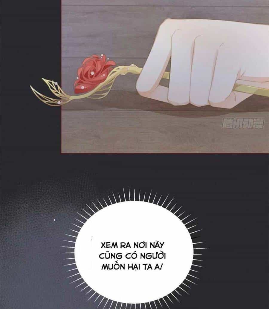 Xuyên Thành Tiểu Vương Phi Ngốc Nghếch - Chương 2 - ảnh 5