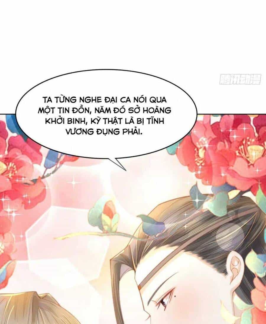 Xuyên Thành Tiểu Vương Phi Ngốc Nghếch - Chương 9 - ảnh 20