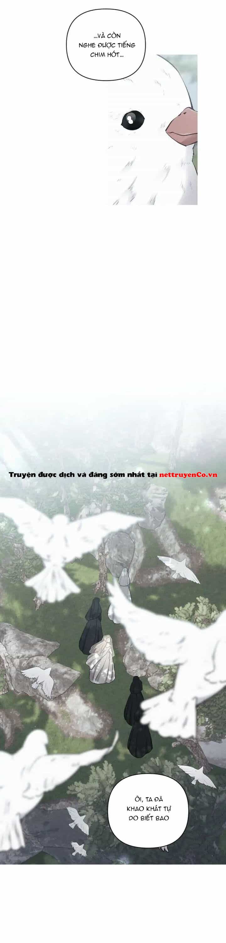 Xuyên Vào Teenfic Làm Thị Nữ - Chương 59 - ảnh 9