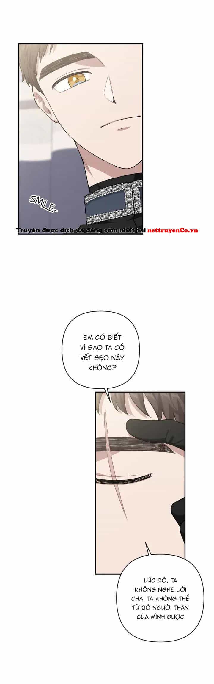 Xuyên Vào Teenfic Làm Thị Nữ - Chương 84 - ảnh 29