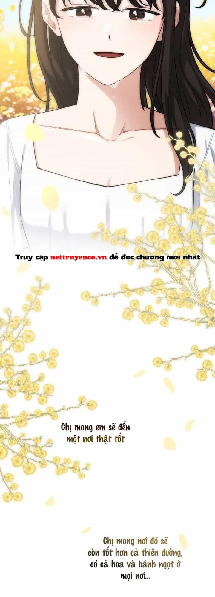 Xuyên Vào Teenfic Làm Thị Nữ - Chương 91 - ảnh 54
