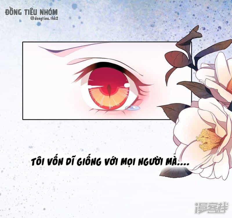 Xuyên Về Cổ Đại Làm Quốc Bảo - Chương 0 - ảnh 8