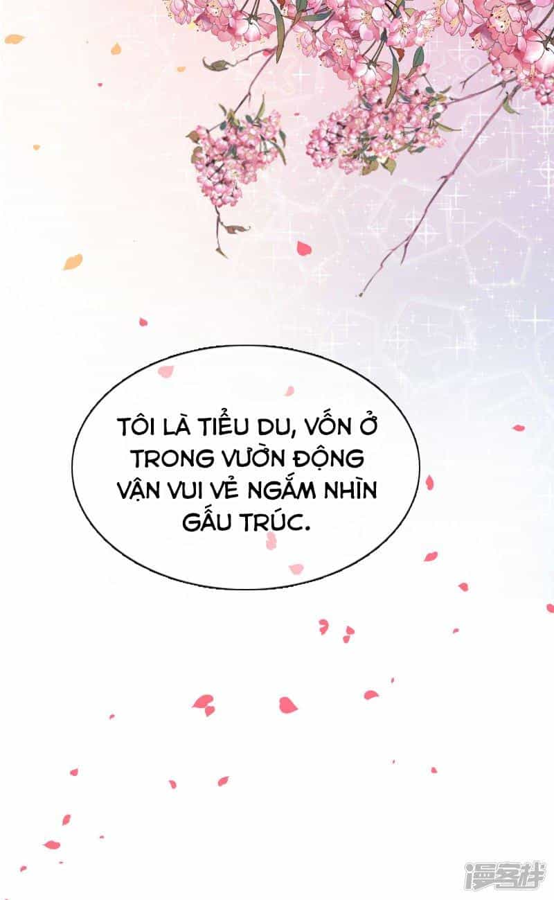 Xuyên Về Cổ Đại Làm Quốc Bảo - Chương 0 - ảnh 9