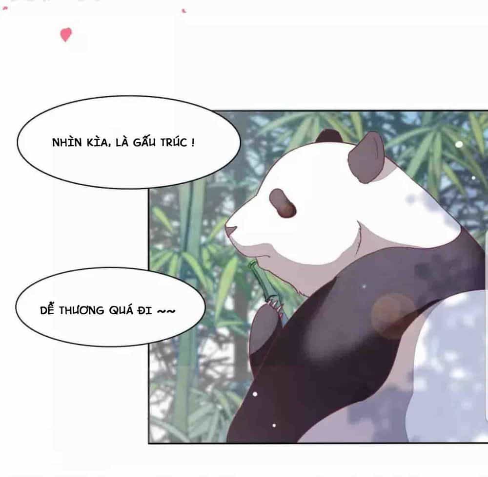 Xuyên Về Cổ Đại Làm Quốc Bảo - Chương 1 - ảnh 11