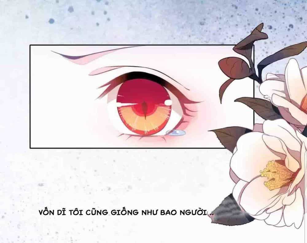 Xuyên Về Cổ Đại Làm Quốc Bảo - Chương 1 - ảnh 9