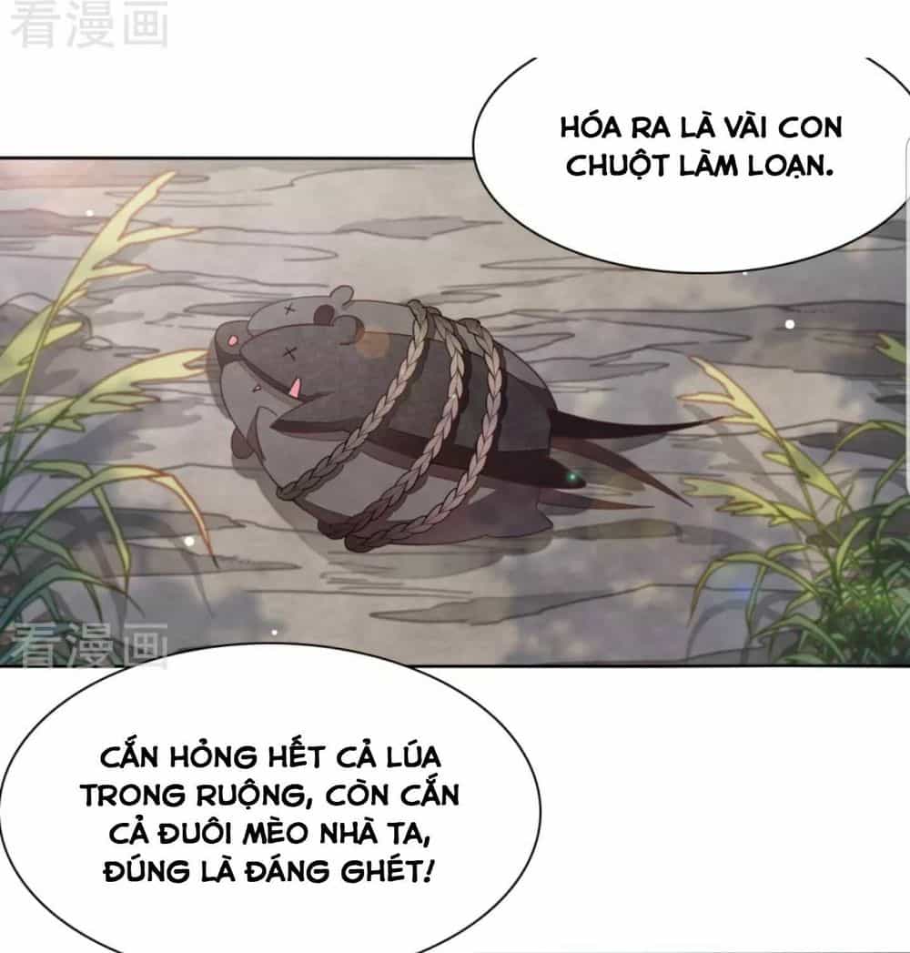 Xuyên Về Cổ Đại Làm Quốc Bảo - Chương 31 - ảnh 12