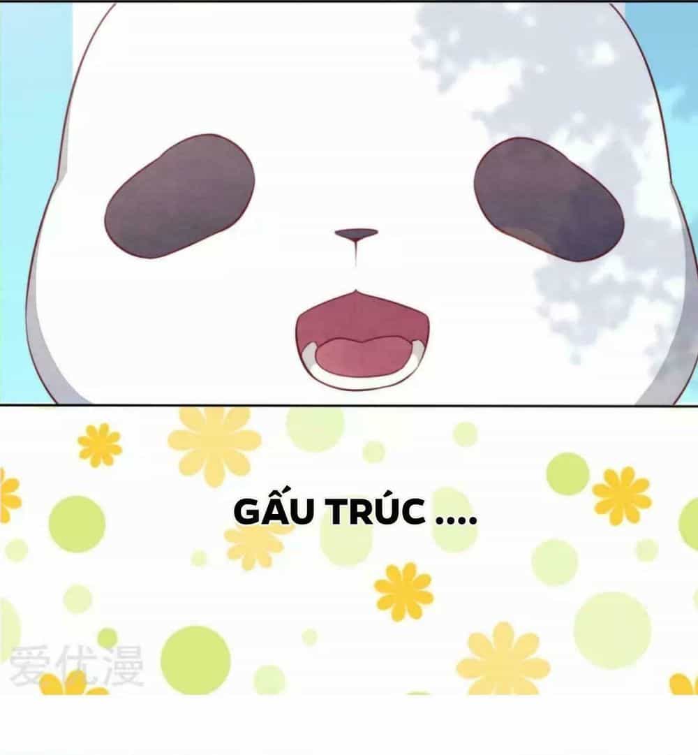 Xuyên Về Cổ Đại Làm Quốc Bảo - Chương 3 - ảnh 24