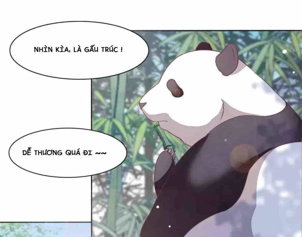 Xuyên Về Cổ Đại Làm Quốc Bảo - Chương 3 - ảnh 3