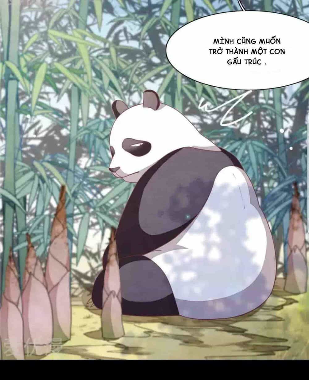 Xuyên Về Cổ Đại Làm Quốc Bảo - Chương 3 - ảnh 7