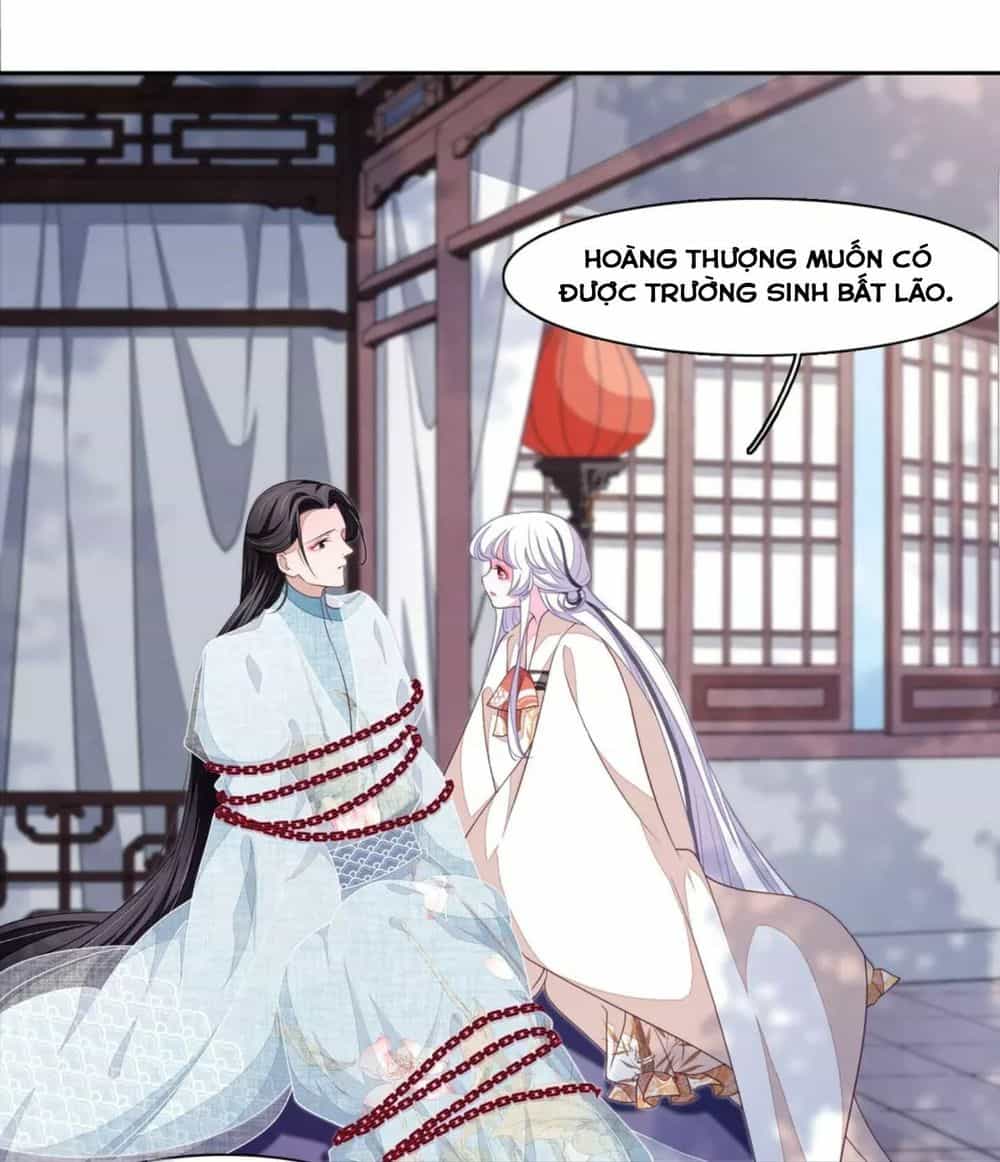 Xuyên Về Cổ Đại Làm Quốc Bảo - Chương 44 - ảnh 4