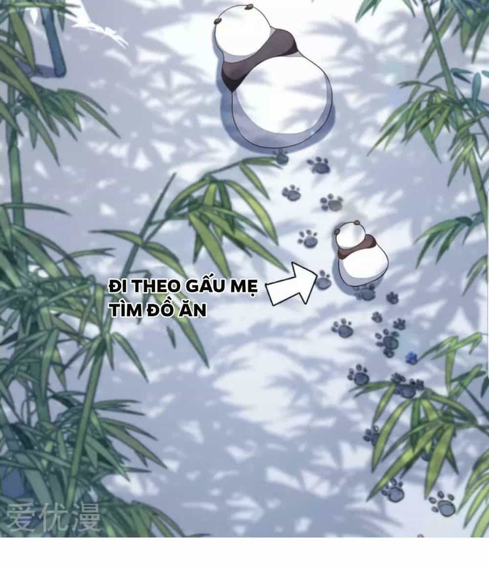Xuyên Về Cổ Đại Làm Quốc Bảo - Chương 4 - ảnh 4
