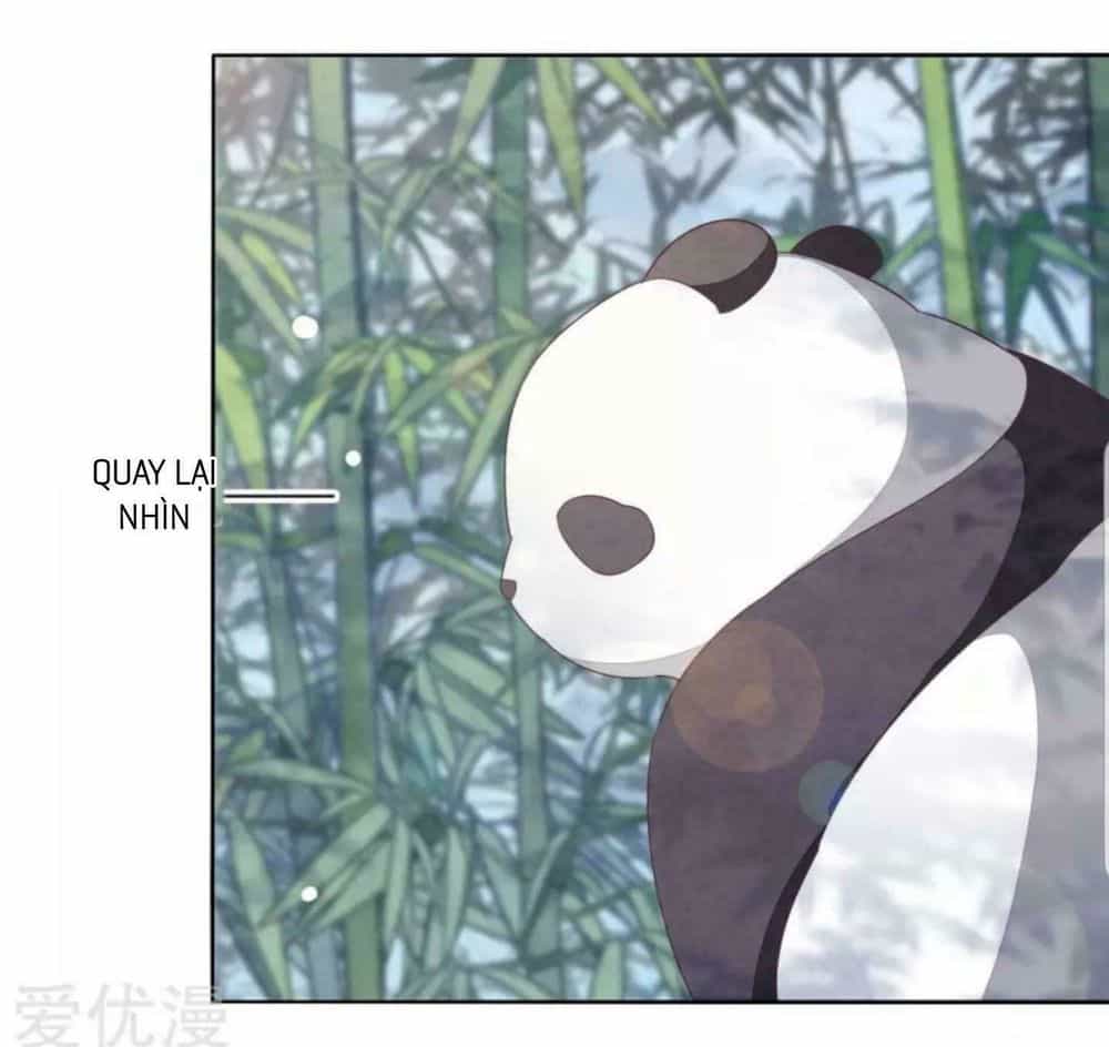 Xuyên Về Cổ Đại Làm Quốc Bảo - Chương 6 - ảnh 29