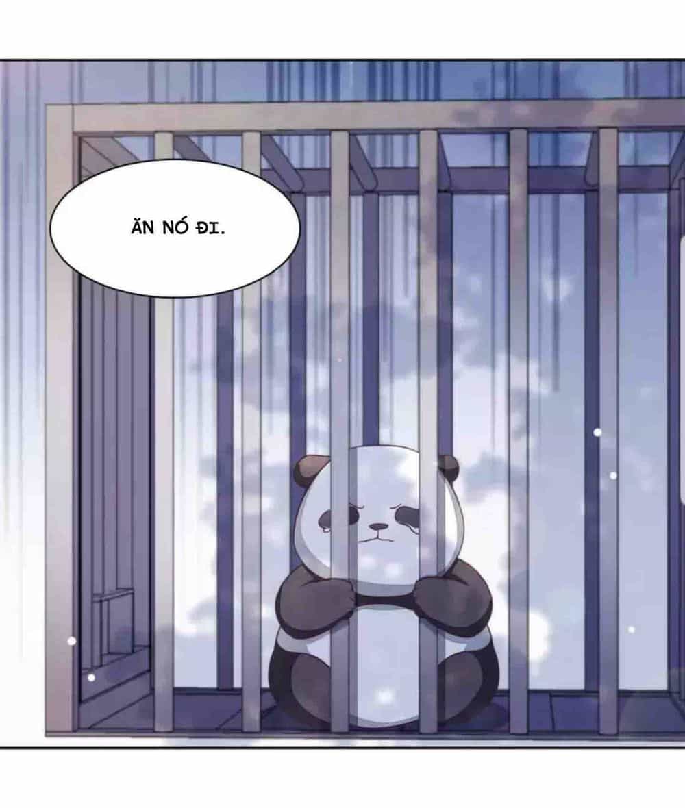Xuyên Về Cổ Đại Làm Quốc Bảo - Chương 6 - ảnh 5