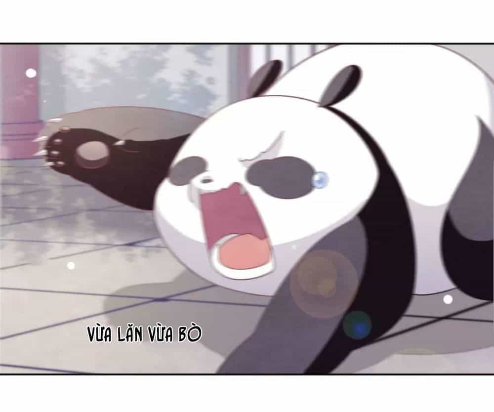 Xuyên Về Cổ Đại Làm Quốc Bảo - Chương 8 - ảnh 7