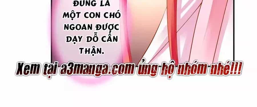 Xuyên Việt Vương Phi Yếu Thăng Cấp - Chương 128 - ảnh 25