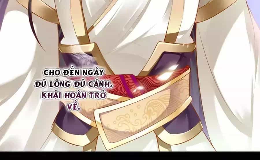 Xuyên Việt Vương Phi Yếu Thăng Cấp - Chương 131 - ảnh 32
