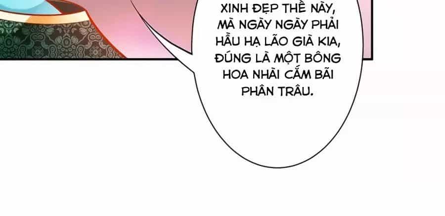 Xuyên Việt Vương Phi Yếu Thăng Cấp - Chương 85 - ảnh 19