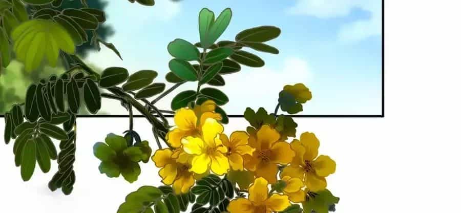 Xuyên Việt Vương Phi Yếu Thăng Cấp - Chương 97 - ảnh 63