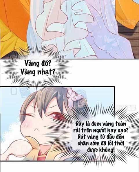 Y Phi Quyền Khuynh Thiên Hạ - Chương 3 - ảnh 8