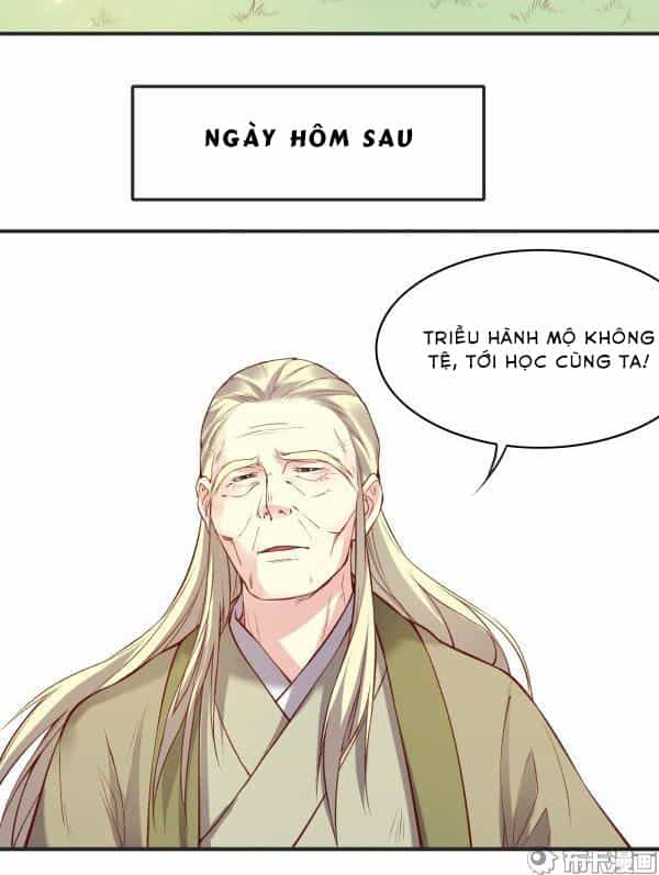 Yến Sơn Phái Và Bách Hoa Môn - Chương 178 - ảnh 16
