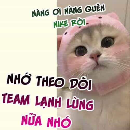 Yêu Đến Hủy Diệt - Chương 2 - ảnh 9