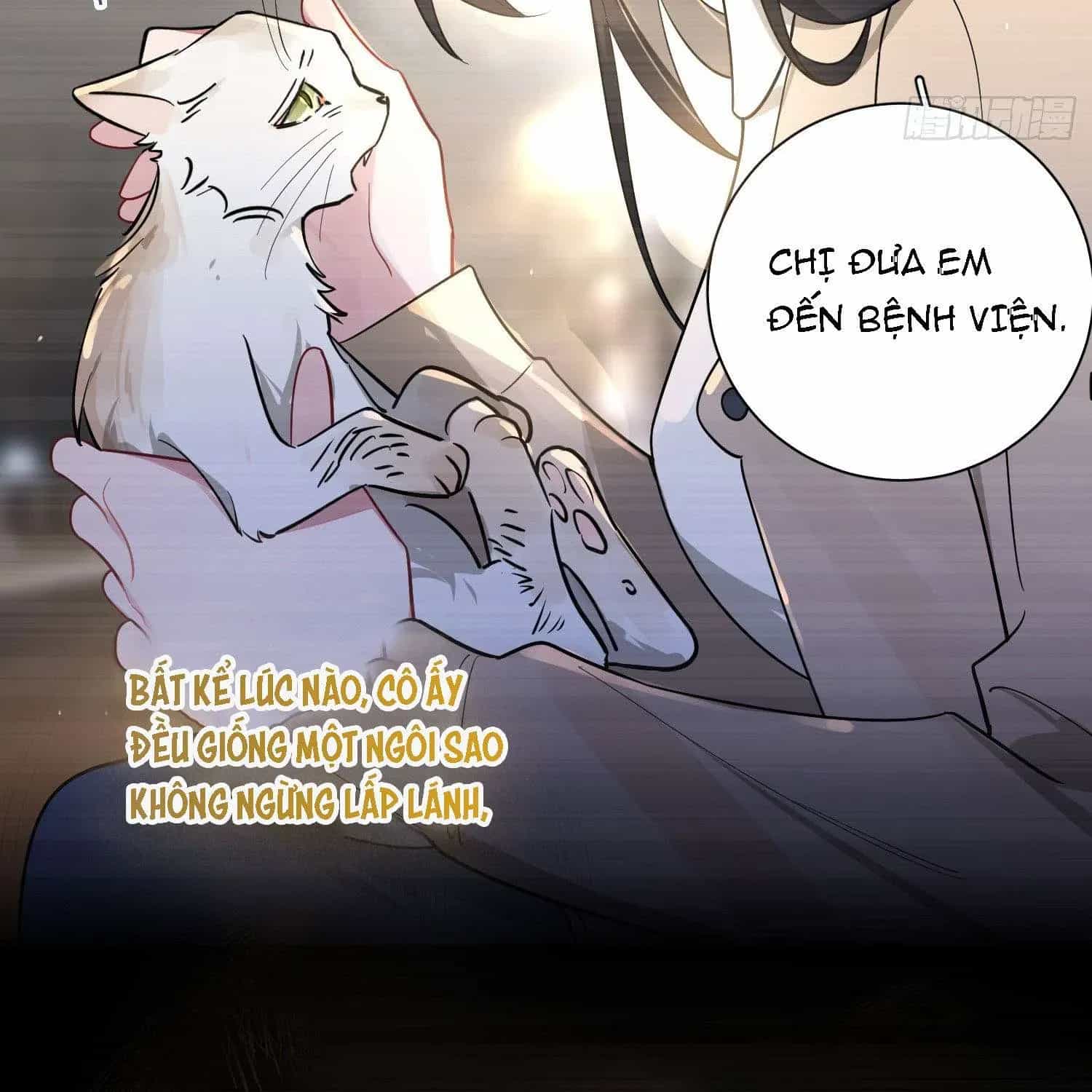 Yêu Đương Không Bằng Thả Thính Idol - Chương 41 - ảnh 59