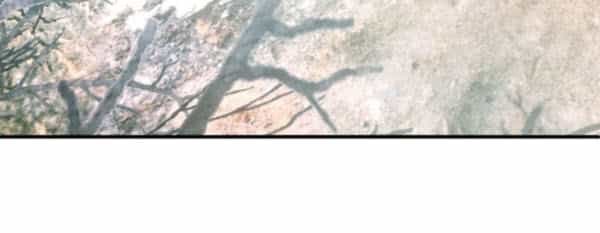 Yêu Giả Vi Vương - Chương 133 - ảnh 16