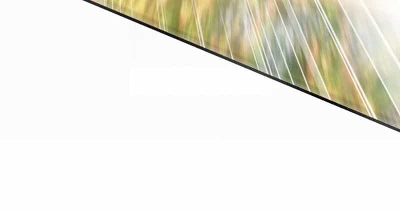 Yêu Giả Vi Vương - Chương 150 - ảnh 10