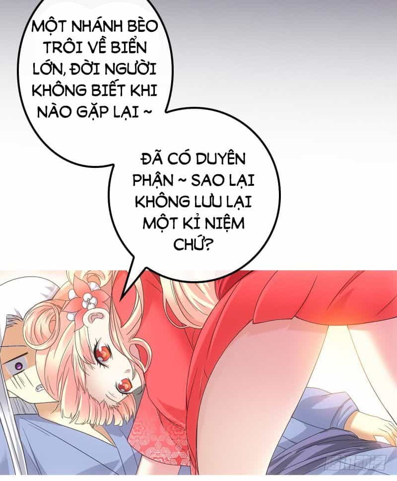 Yêu Phi Bám Lấy Không Buông - Chương 2 - ảnh 13