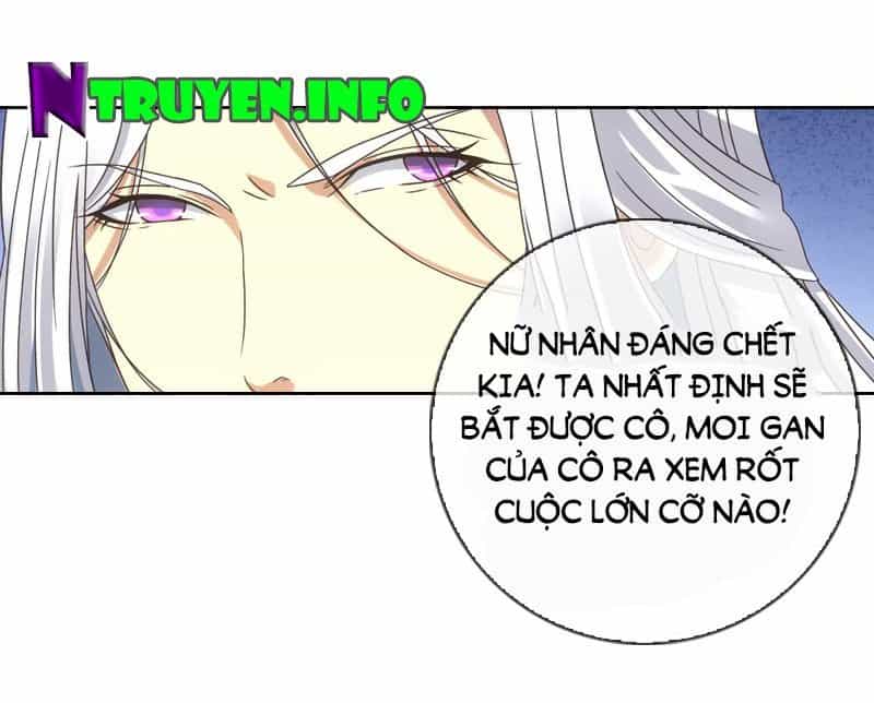 Yêu Phi Bám Lấy Không Buông - Chương 3 - ảnh 21