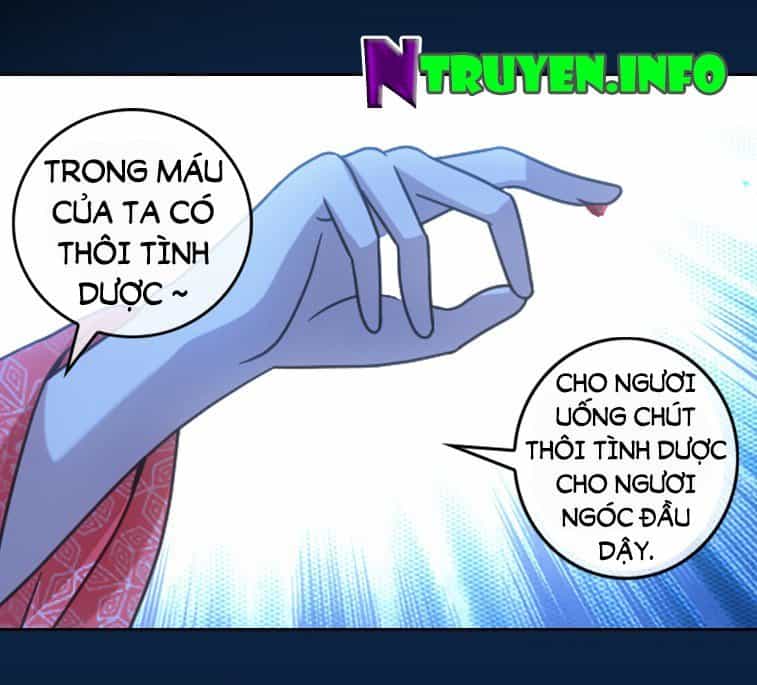 Yêu Phi Bám Lấy Không Buông - Chương 3 - ảnh 8