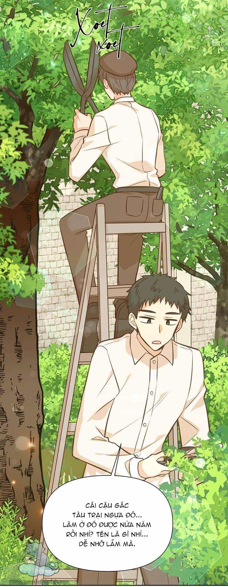 Yêu Tôi Đi, Dù Sao Ngài Cũng Chỉ Là Nhân Vật Phụ - Chương 39 - ảnh 4